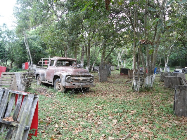  Paintball afternoons 